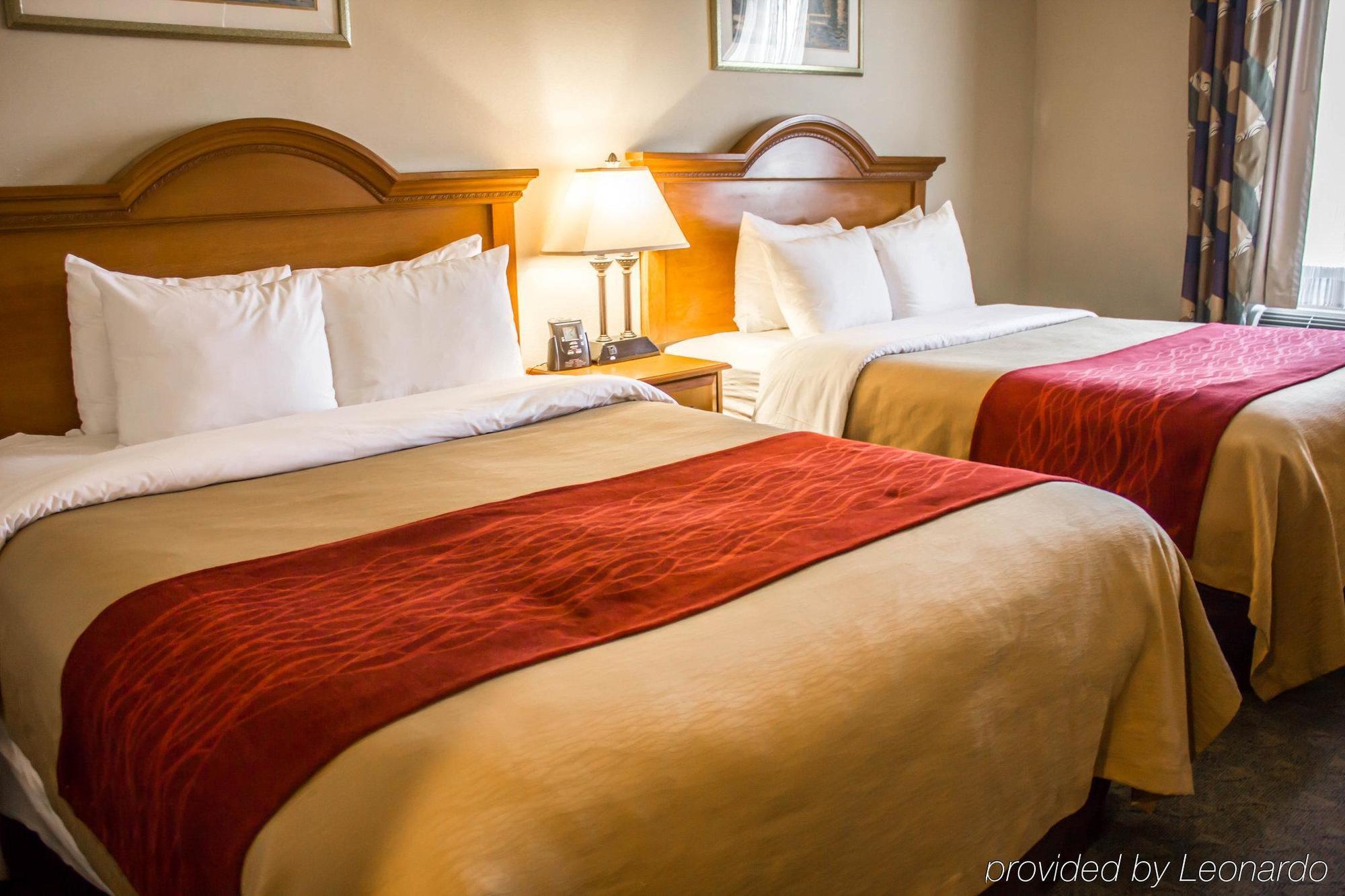 Comfort Inn Jfk Airport Nueva York Exterior foto