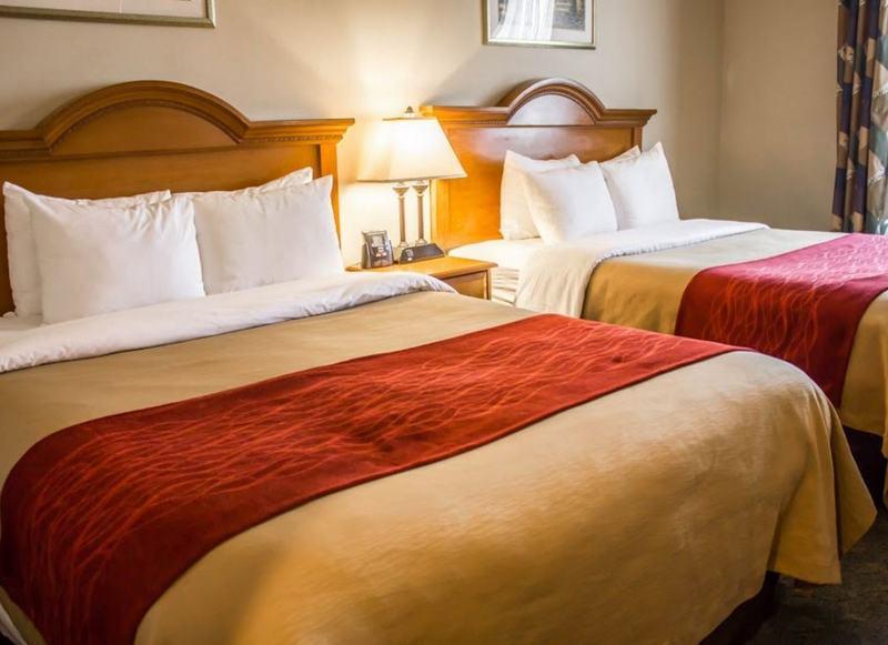Comfort Inn Jfk Airport Nueva York Exterior foto